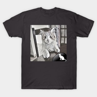 CAT PICTURE T-Shirt